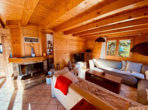 Chalet traditionnel avec garage double et terrasse - FR-1-459-227